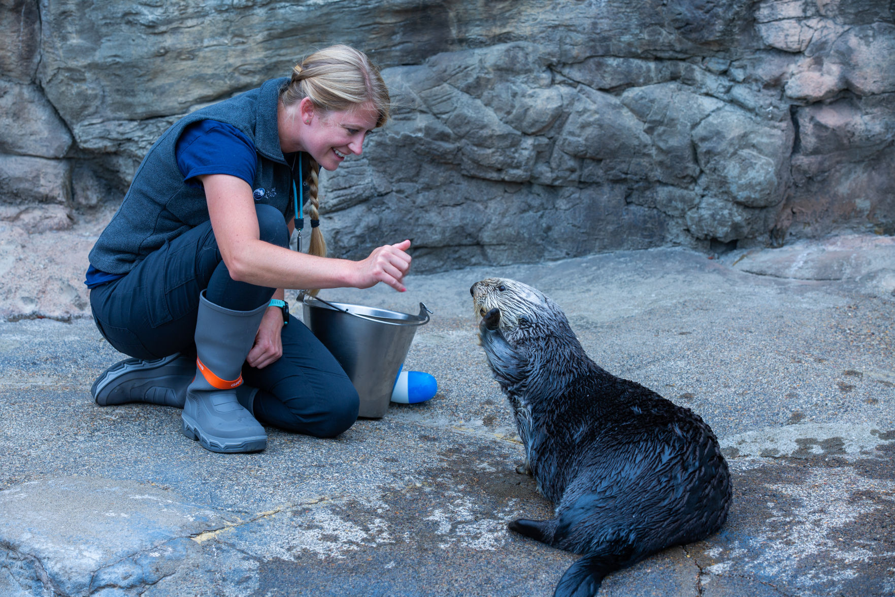 ocaq-smc-sea-otter-paw-present.jpg